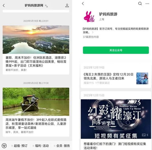 票務代理服務巨頭突陷停擺風波，多方緊急回應引行業震蕩